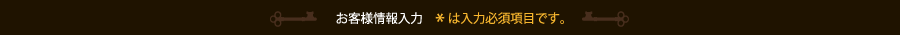 お客さま情報入力　＊は入力必須項目です。